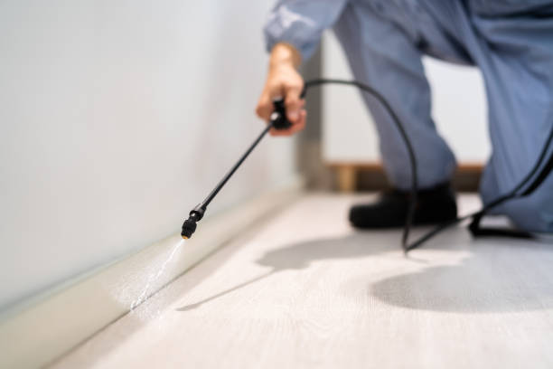 Certified termite inspector examining foundation in San Gabriel