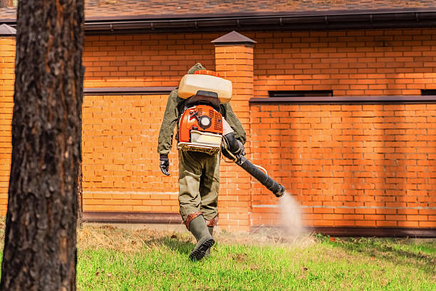 Bed Bug Clearance Verification and Documentation in San Gabriel